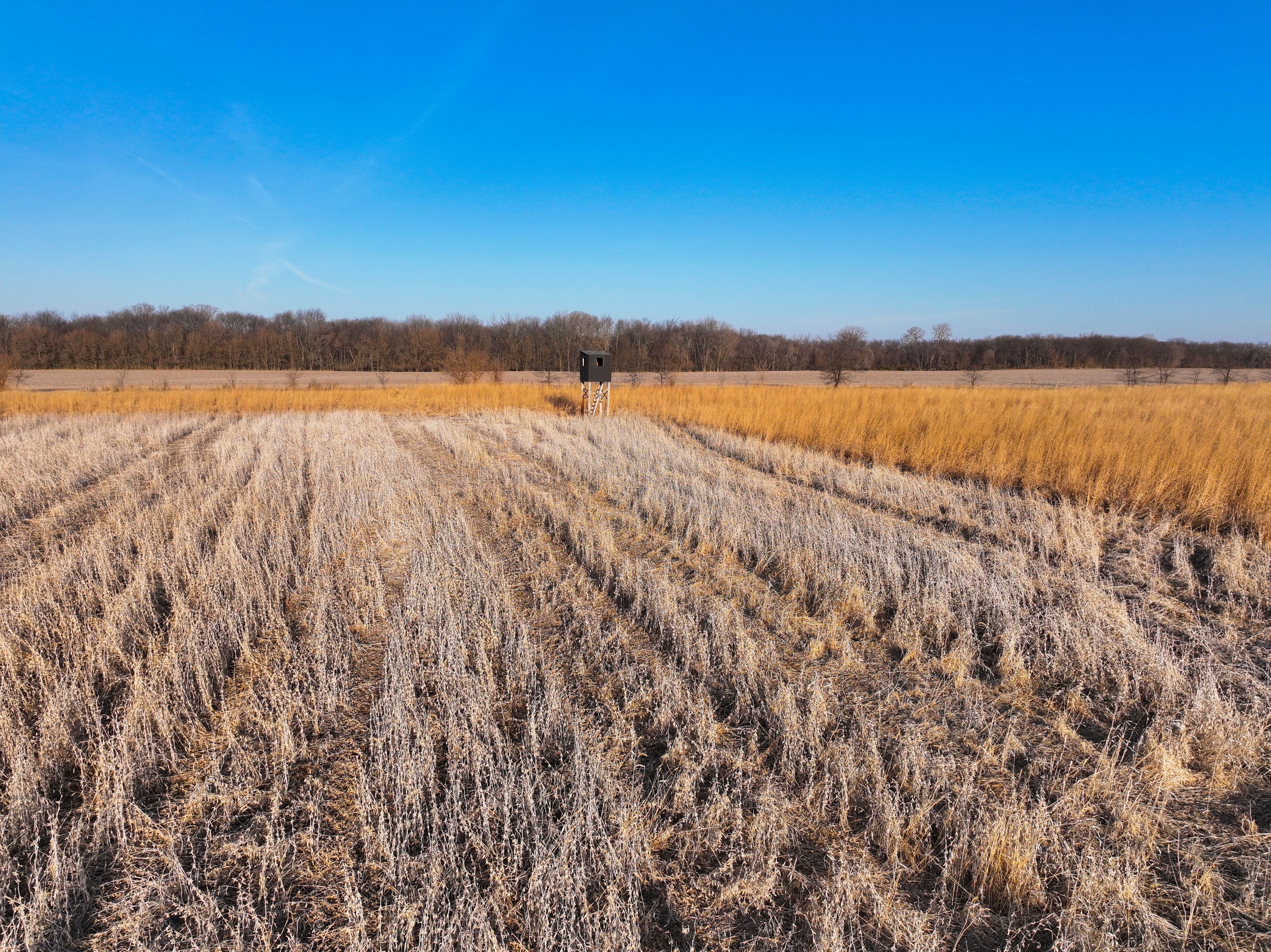 Listing Photo: Johnson County Recreational Farm For Sale-10